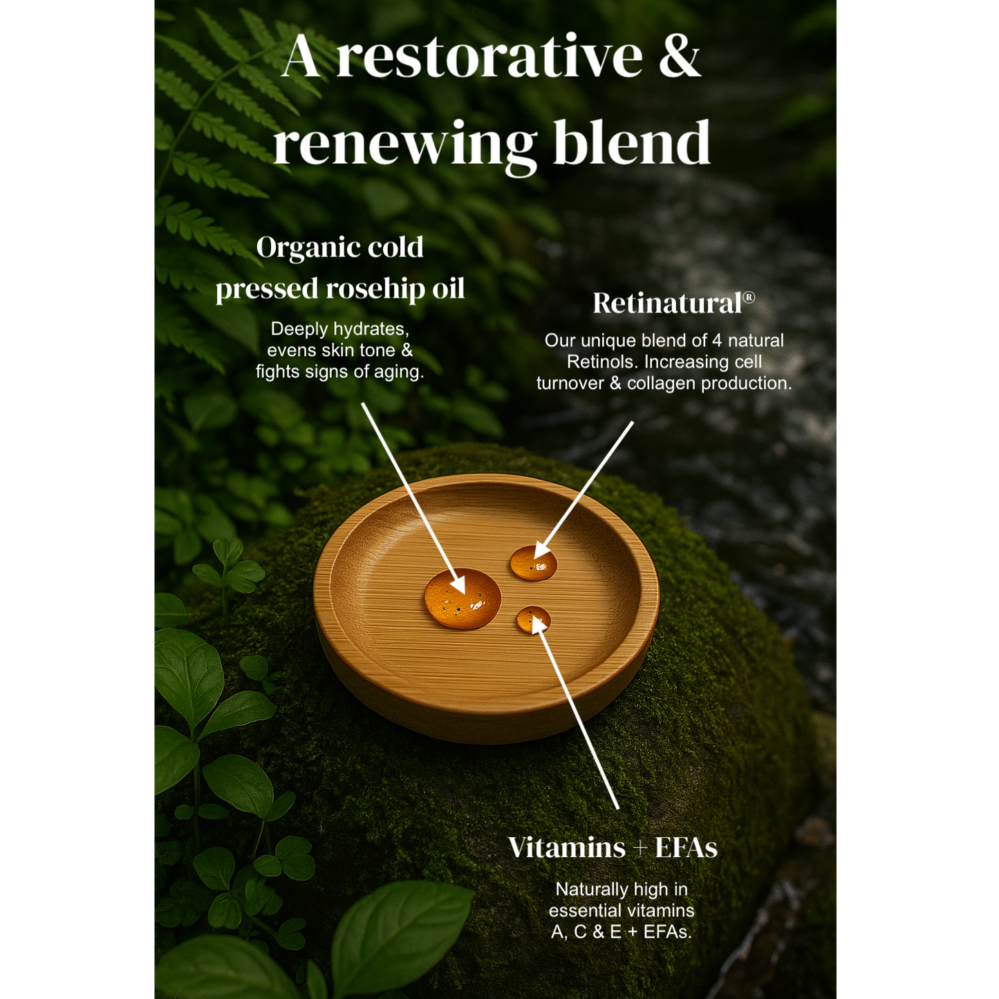 Anti-Aging Night Oil