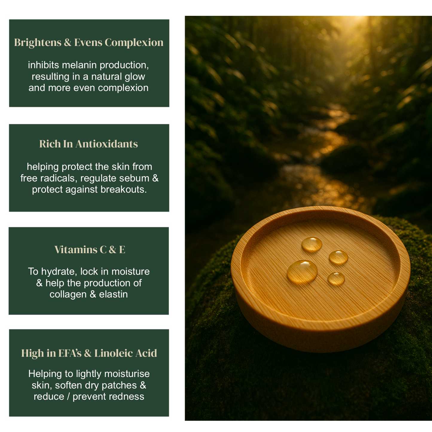 Illuminating Day Oil