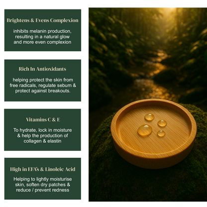 Illuminating Day Oil