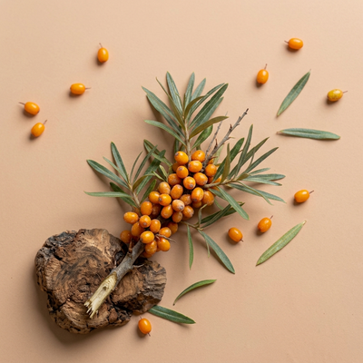 Sea Buckthorn