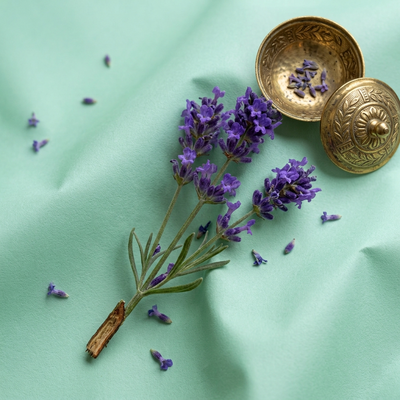 Lavender