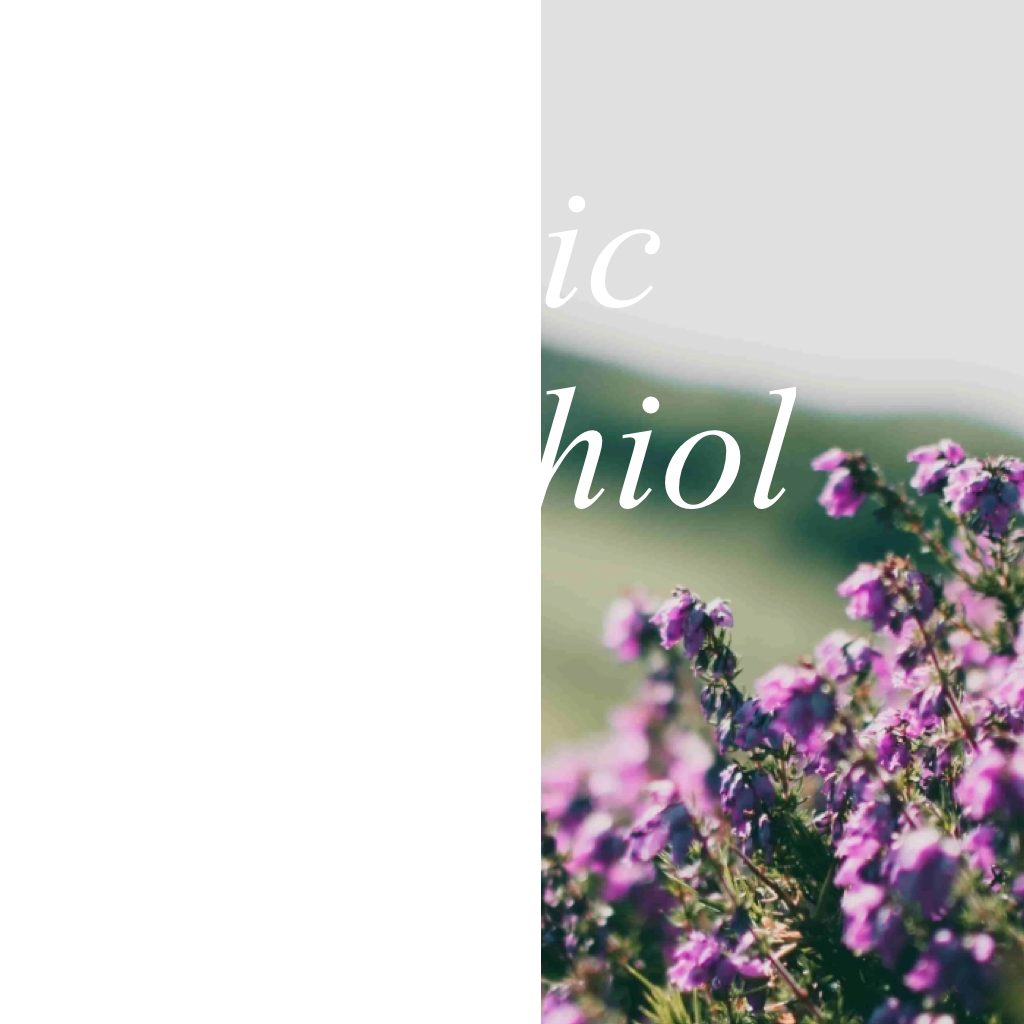 Anti-Aging Night Oil