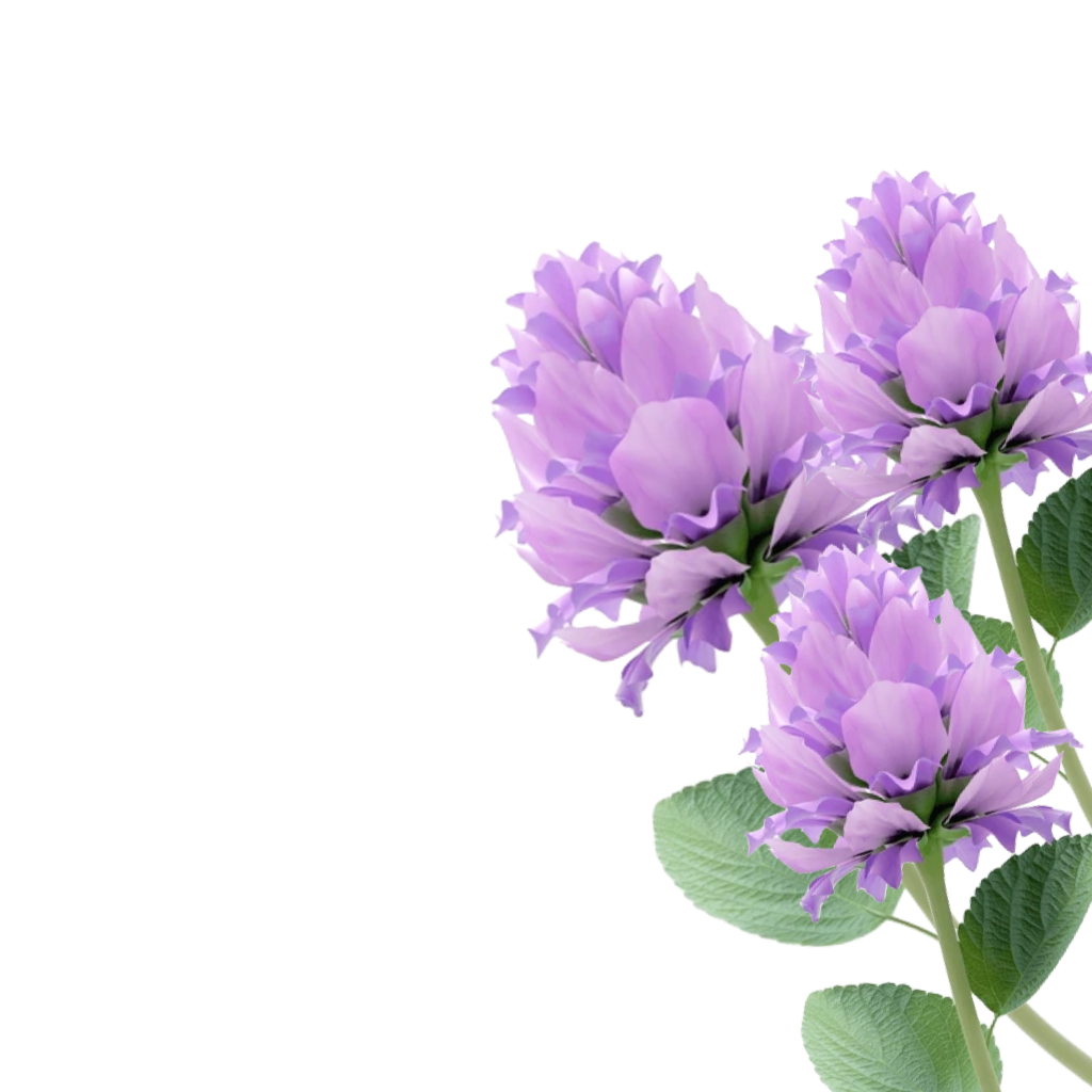 Anti-Aging Night Oil