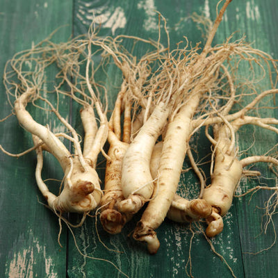 Ginseng