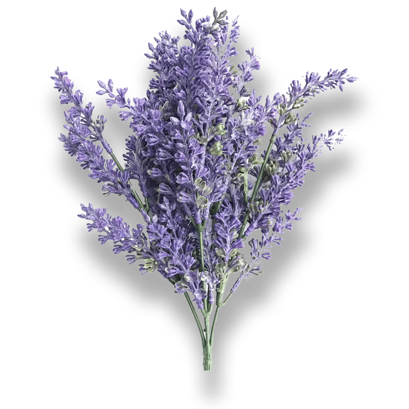 LAVENDER 1.png__PID:6d8fc69e-b22b-45d5-a514-3ff1c46b122d