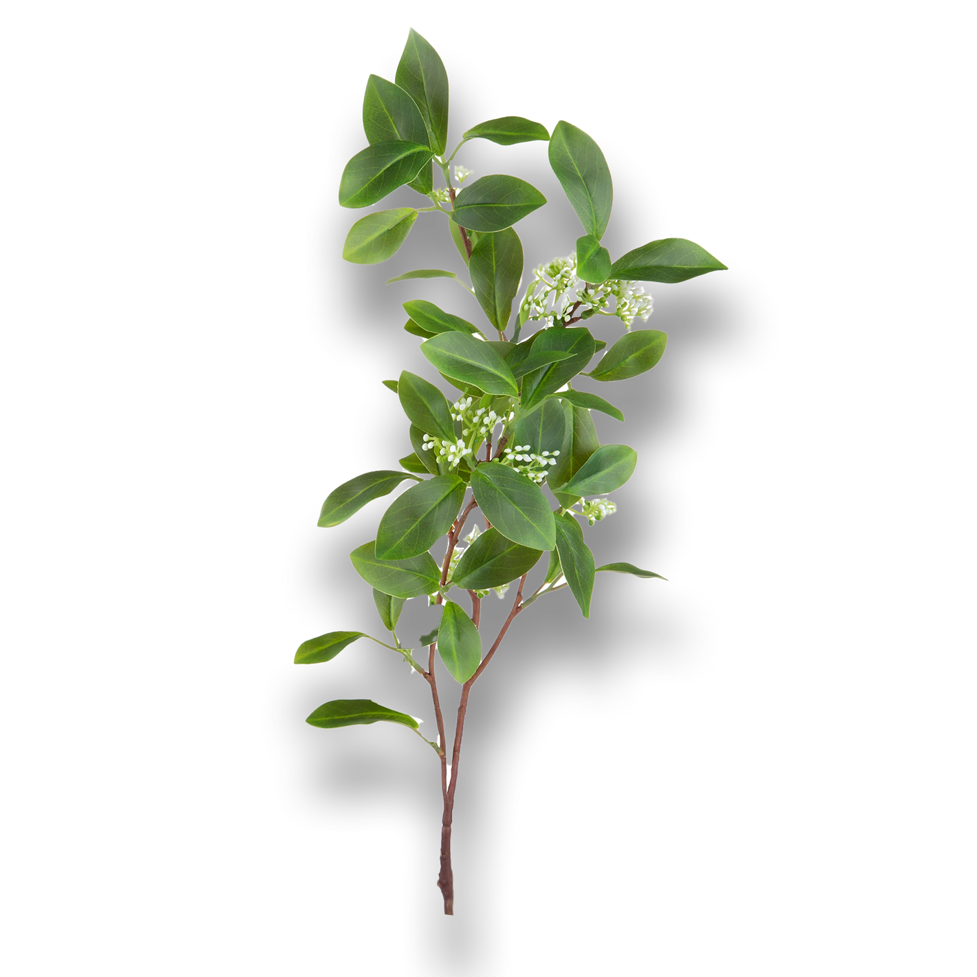 MRYTLE.png__PID:177c0bdf-2382-4956-b0ce-306819044faa