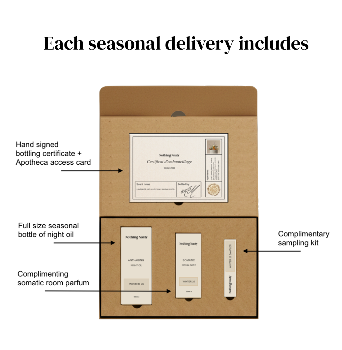 Anti-Aging Night Oil